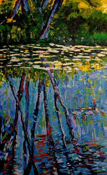 Otty Lake Reflections