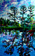 Otty Lake Reflections