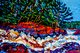 Oxtongue River