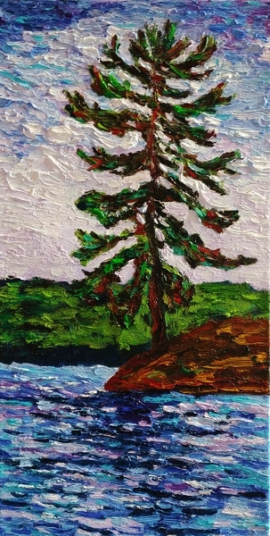 Pine on Drag Lake