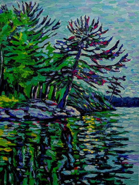 Shoreline Pine