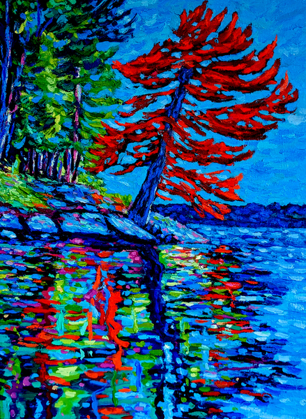 Shoreline Pine Tree