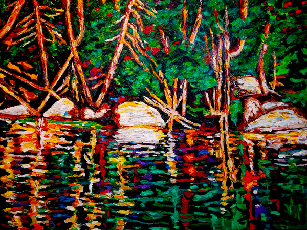Shoreline Reflections