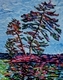The Pine