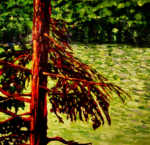 View Through The Pines, Lake of Bays